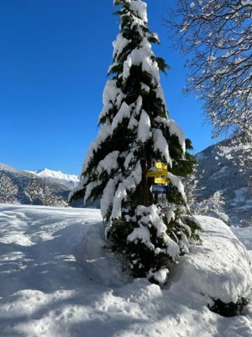 Traumapartment Murmeltier Tirol Grins Esterno foto